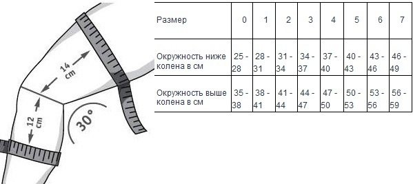размеры genutrain.jpg размеры genutrain.jpg